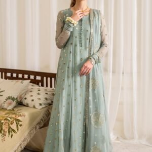 IZNIK Chiffon Suit – Elegant Embroidered 3 Piece